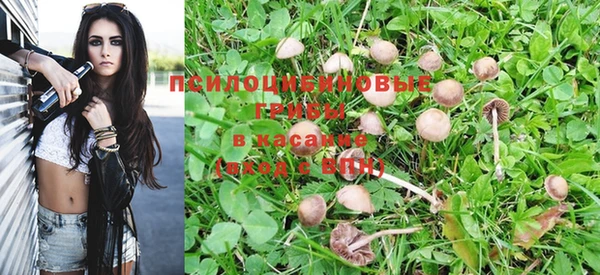 герыч Верея